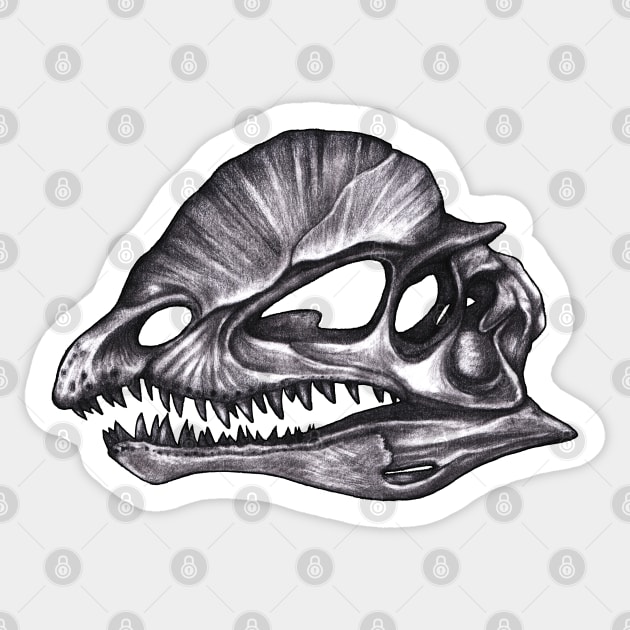 Diplophosaurus Skull Sticker by MonoMano